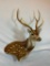 AXIS DEER WALL PEDESTAL