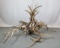 ELK ANTLER CHANDELIER