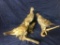 Three Grouse lifesise Taxidermy mounts on wood bases 11