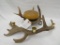 ANTLER CANDLE HOLDERS