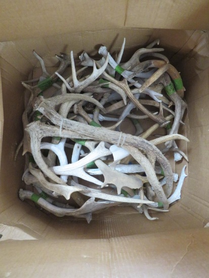 30 LBS OF ASSORTED ANTLERS