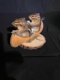 CUTE pair of CHIPMUNKS in a CANOE , New TAXIDERMY