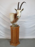 SCIMITAR HORNED ORYX PEDESTAL (TX RESIDENTS ONLY)