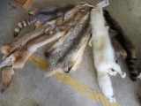 5 ASSORTED HIDES (5x$)