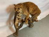 LIFESIZE BOBCAT