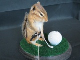 GOLFING CHIPMUNK