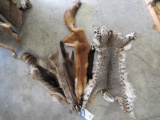 5 ASSORTED HIDES (5x$)