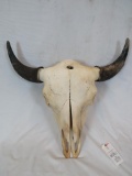 XL BISON SKULL