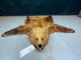 LARGE GRIZZLY BEAR RUG ON BOARD