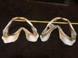 2 sets of large SHARK JAWS Oddity Taxidermy 12