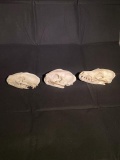 Bobcat, Raccoon, and Red Fox, Skulls, EXCELLENT - ALL teeth, great Taxidermy 3 x $