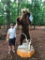 HUGE 8 foot 8 inch tall STANDING Alaskan Brown / Grizzly BEAR Beautiful Taxidermy ^ REAL CLAWS !!