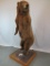 REALLY NICE 9' LIFESIZE STANDING BROWN BEAR W/REPAIRED FOOT