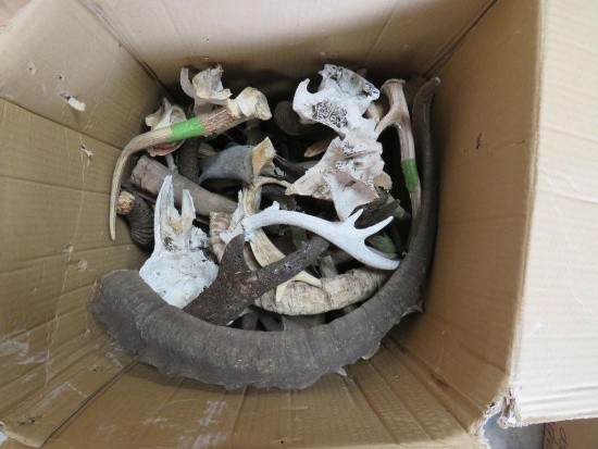 BOX OF ASSORTED ANTLERS