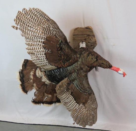 LIFESIZE FLYING TURKEY