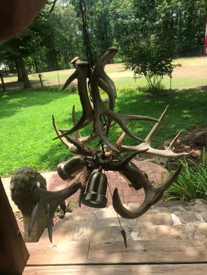 Beautiful Whitetail antler Chandelier 4 light not Taxidermy