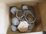 BOX OF ANTLERS