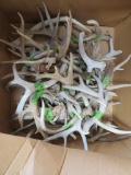 30 LBS OF ASSORTED ANTLERS