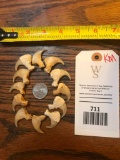 set of 12 Beautiful MOUNTAIN LION CLAWS, very NICE Taxidermy (12x$)