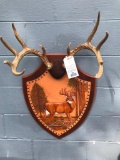 Fancy 3-D hand painted Leather and wood plaque/ 10 point W/T Deer antlers = Taxidermy