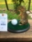 Cute little 13 Lined Ground Squirrel GOLFING mount NEW Taxidermy
