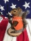 Hunting Grey Squirrel, complete with orange vest and Rifle, NEW Taxidermy