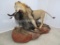 EXTREMELY NICE LIFESIZE LION & WILDEBEEST ON BASE (ONE$)*TX RESIDENTS ONLY*