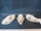 3 COYOTE SKULLS (3x$) TAXIDERMY