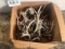 BOX OF ANTLER SHEDS TAXIDERMY