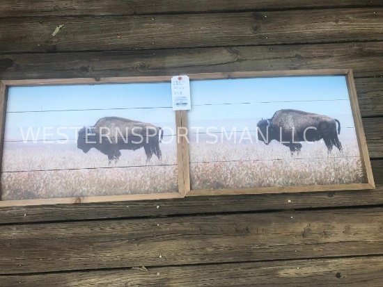 2 North American Bison-or Buffalo pictures 2 x $ 23 inches long x 16 inches wide.. = NEW