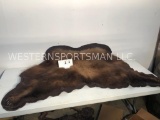 BLK BEAR HIDE -ONLY 5 CLAWS TAXIDERMY