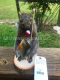 Awesome Fishing Squirrel, WITH a Bluegill fish NEW Taxidermy 10 inches tall