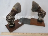 PAIR OF ZEBRA HOOF BOOKENDS (ONE$) TAXIDERMY
