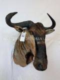 Wildebeest Sh Mt TAXIDERMY