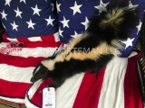 Beautiful Life-size Skunk mount, NEW Taxidermy