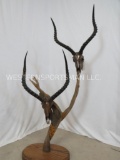 DOUBLE BRONZE COLOR IMPALA SKULLS ON PEDESTAL TAXIDERMY