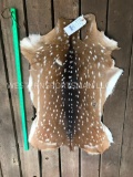 New Beautiful Axis deer hide soft - Taxidermy