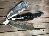 Three tanned hides/furs Ground hog, Skunk, and Possum. nice Taxidermy = 3 x $