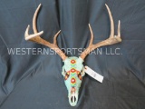 BEDAZZLED WHITETAIL SKULL TAXIDERMY