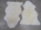 2 BRAND NEW SHEEP SKIN RUGS (2x$) TAXIDERMY