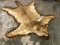 LIONESS RUG -NEEDS WORK, HAS CLAWS BUT HAS 3 AREAS OF DRY ROT *TX RESIDENTS ONLY* TAXIDERMY