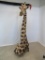 BEAUTIFUL GIRAFFE FLOOR PEDESTAL TAXIDRMY