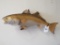 RED FISH MT TAXIDERMY