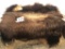 SOFT TANNED FULL MUSK OX HIDE TAXIDERMY