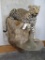 INCREDIBLE Lifesize Leopard on Rock Base *TX RESIDENTS ONLY* TAXIDERMY