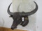 XL WATER BUFFALO SH MT TAXIDERMY