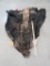 CAPE BUFFALO CAPE TAXIDERMY