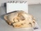 LEOPARD SKULL *TX RESIDENTS ONLY* TAXIDERMY