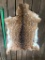 NEW, Beautifully tanned AXIS DEER HIDE . Great Taxidermy