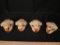 4 BEAVER SKULLS (4x$) TAXIDERMY